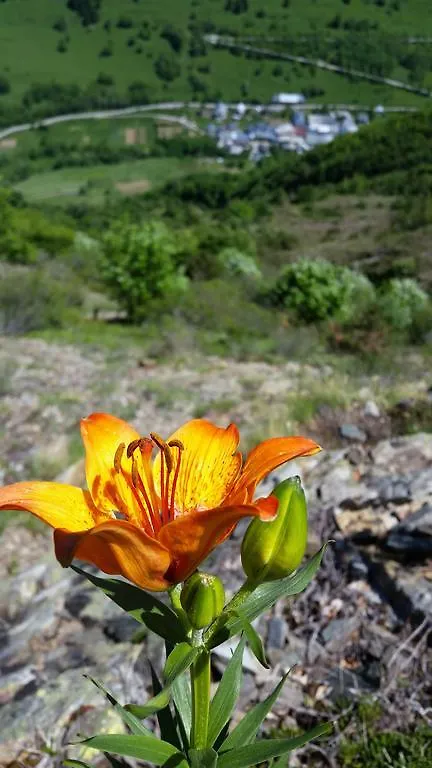 Gite De La Lignarre Ornon France
